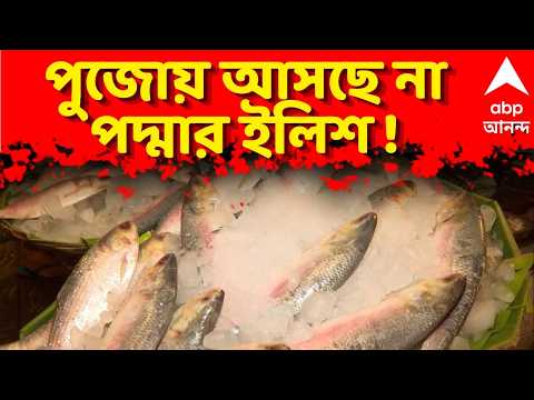 ইলিশ রফতানি ও সীমান্ত বাণিজ্য নিয়ে পেট্রাপোল সীমান্তে ট্রাক চলাচলের সরাসরি ভিডিও রিপোর্ট