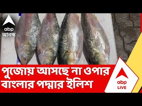 পূজার মুখে পেট্রাপোল ও হাওড়া বাজারে মাছ আমদানি ও সরবরাহ পরিস্থিতি নিয়ে বিশেষ ভিডিও প্রতিবেদন